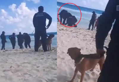 Testigos grabaron el momento en que el hombre y su perro fueron detenidos por al menos 10 policías en una playa de Cancún (CAPTURA) 