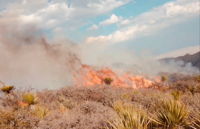 Imagen Fuera de control, incendio forestal en Arteaga