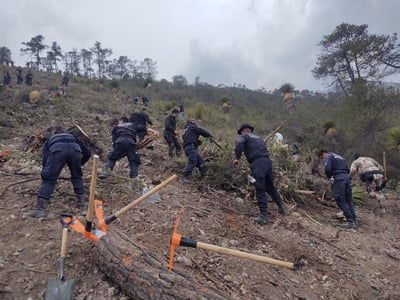 Imagen Policía Municipal y Grupo de Reacción Sureste se suman a acciones de  combate a incendio en Sierra Hermosa