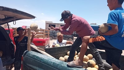 La buena racha en el precio del melón en San Pedro duró muy poco; de siete pesos el kilo ahora lo compran en cinco pesos. (EL SIGLO DE TORREÓN)