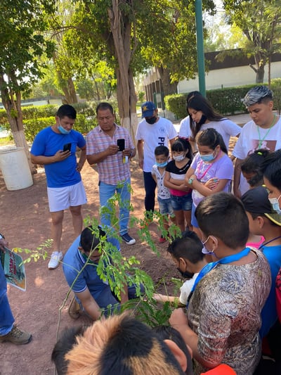 Imagen Niños plantan más de 100 árboles en la Deportiva de Lerdo