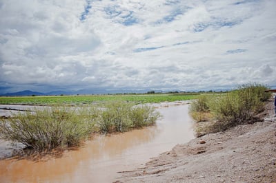 Autoridades buscan apoyar a productores que se vieron afectados con la crecida del río Aguanaval y las fuertes lluvias.