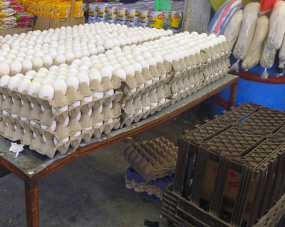 La entidad produjo 82 mil 739 toneladas de huevo según información de la Secretaría de Agricultura y Desarrollo Rural. (EL SIGLO DE TORREÓN)