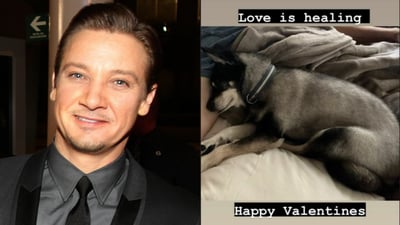 Imagen En medio de su difícil recuperación, Jeremy Renner está esperanzado y celebra San Valentín con su perrito