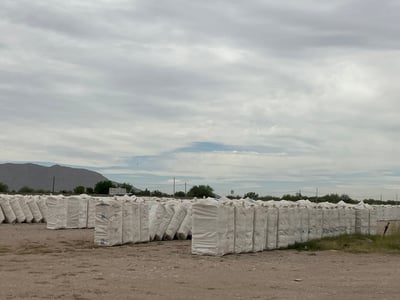 Todavía está almacenada una parte de la producción de algodón del año pasado. (EL SIGLO DE TORREÓN)