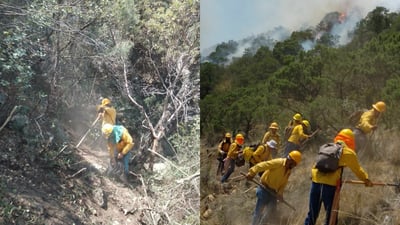 Imagen Reportan avance de 55 por ciento en control de incendio forestal en Las Maravillas