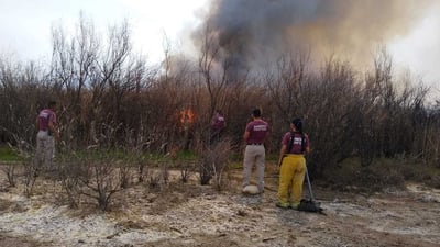 Exhorta Secretaría de Medio Ambiente a extremar precauciones para evitar incendios forestales. (ARCHIVO)