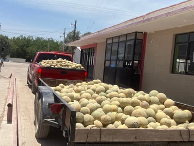 En Durango (particularmente en la Región Laguna) se reportaba una superficie cultivada de mil 206 hectáreas de melón. (EL SIGLO DE DURANGO)