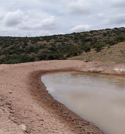 En cuanto a la ganadería, lo que se espera es el llenado de los abrevaderos, así como el crecimiento del pasto.