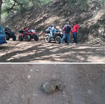 Este fin de semana, un grupo de turistas que acudió al Cañón, provocaron una serie de destrozos, entre ellos una tortuga atropellada.