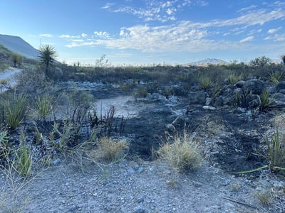 Ocho hectáreas de terreno resultaron afectadas por el incendio que se registró la tarde del martes.