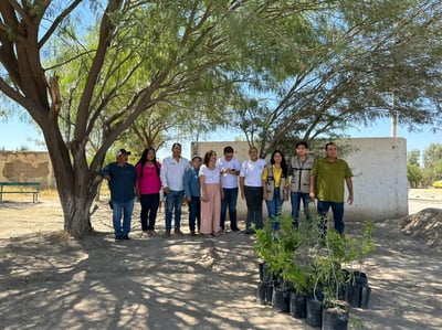 Imagen Plantarán mil árboles en área rural de Gómez Palacio