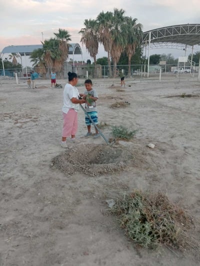 Se espera que el programa concluya en un lapso de cuatro a cinco semanas, donde serán reforestadas 122 comunidades rurales de Gómez Palacio. (EL SIGLO DE TORREÓN)