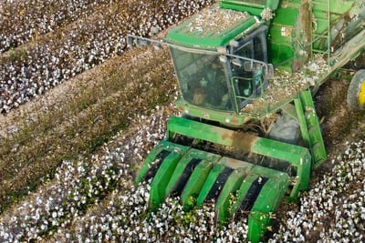 La SAGDR en la Región Laguna abrió su ventanilla de atención para los productores de algodón.