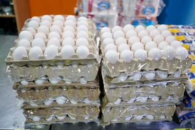 En tanto, a nivel nacional, la producción de huevo reportada en los primeros siete meses del año fue de un millón 829 mil 213.8 toneladas. (EL SIGLO DE DURANGO)