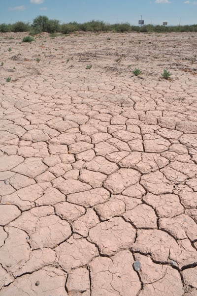 Coahuila y Durango están entre las 15 entidades con sequía severa extrema, de acuerdo con el Servicio Meteorológico Nacional. (EL SIGLO DE DURANGO)