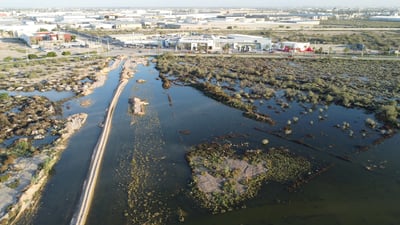 Aguas pestilentes inundan al Parque Industrial Oriente de Torreón, Simas dijo que es un tema privado. (FOTOS: VERÓNICA RIVERA)