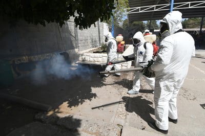 Van 127 casos positivos de dengue en este año en Coahuila contra 572 que se notificaron de manera oficial en 2022. (ARCHIVO)