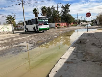 En la colonia Rincón La Merced de Torreón, hay un problema crítico de aguas negras que requiere de una solución integral.