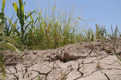 Sequía México, Conagua, Sequía Moderada, Sequía Excepcional. (ARCHIVO)