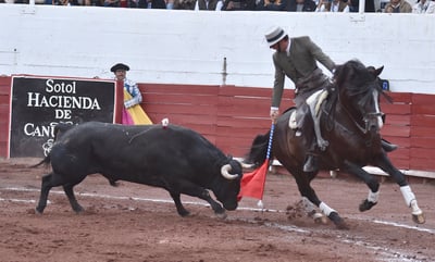 La magnífica cuadra de caballos que acompaña a Andy Cartagena en su temporada mexicana, viene completa a la Comarca Lagunera (ARCHIVO)