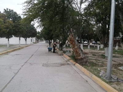 Cuadrillas brindan servicio a las plazas de las colonias Miravalle y Felipe Ángeles. (DIANA GONZÁLEZ)