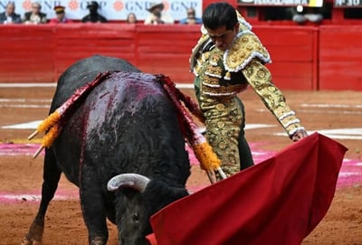 Adame es hoy por hoy, la mayor figura del toreo mexicano, por lo que se espera un lleno absoluto en los tendidos de la acogedora plaza (ESPECIAL)