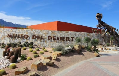 En un esfuerzo por la conservación y el bienestar animal, el Museo del Desierto de Saltillo, rescató y reincorporó a su hábitat a más de 35 osos que fueron encontrados en situaciones de riesgo, durante el año anterior.