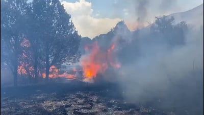 Con la prolongada sequía y el pronóstico de altas temperaturas, el municipio de Arteaga se encuentra listo y en alerta ante los incendios que se pudieran registrar.