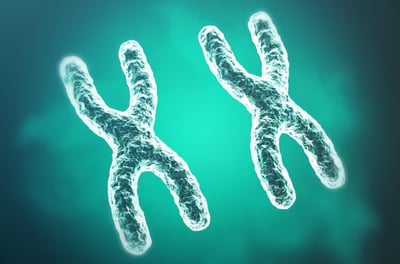 Imagen Una nueva técnica supera un problema para crear cromosomas humanos artificiales
