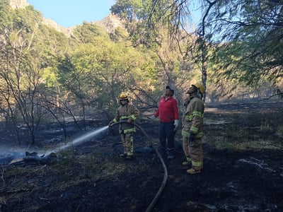 Bomberos atienden reportes de incendios en Lerdo. (DIANA GONZÁLEZ)