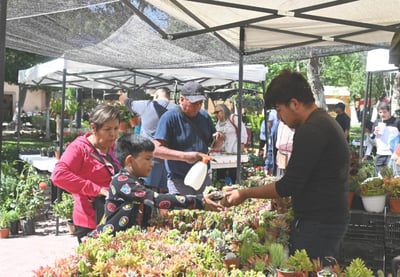 Se venderán distintas especies de flora en la Plaza de Armas.
