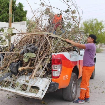 Con el apoyo de trabajadores de La Ola se realizaron labores de desmalezado y retiro de basura.