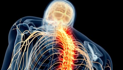 Imagen Crean un biomaterial con interés potencial para recuperar los daños en la médula espinal
