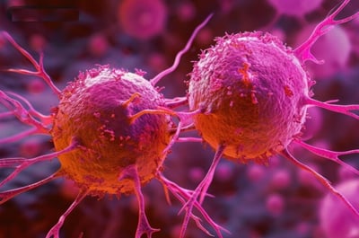 Imagen Crean una nueva forma de estimular con seguridad células inmunitarias contra el cáncer