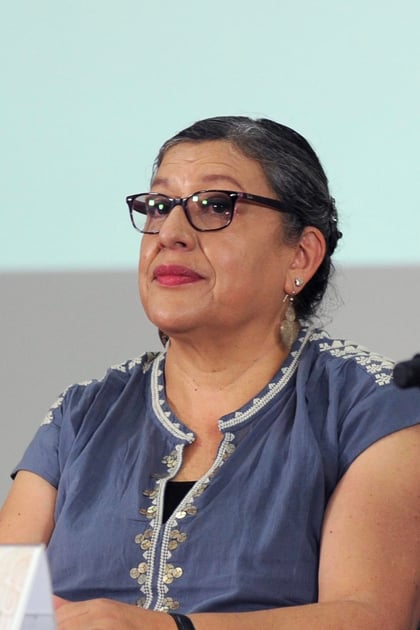 Teresa Guadalupe Reyes Sahagún es la titular de la Comisión Nacional de Búsqueda (CNB).