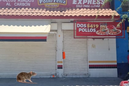 Establecimientos de pollo frito y a la leña del sector Alianza. (MA. ELENA HOLGUÍN)