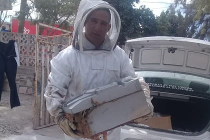 Reubicación de colmenas en Gómez Palacio promueve la salud pública y conserva las abejas