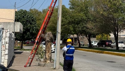 Torreón Jardín. 