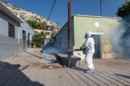 Combate Peñoles la presencia del mosquito Aedes aegypti.