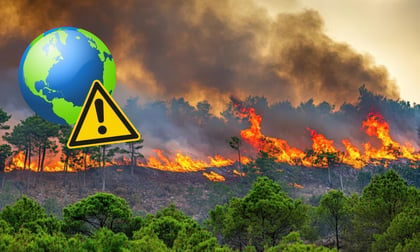 El incremento de incendios forestales aumenta el calentamiento de la superficie terrestre