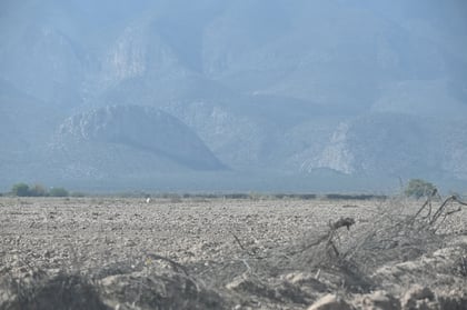 En la última quincena hubo un aumento de la superficie afectada por sequía en Coahuila