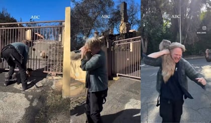 Perrito perdido se reencuentra con su dueño tras incendios en Los Ángeles | VIDEO