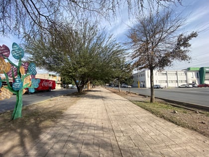 Sin fecha para construcción del memorial de Víctimas de Feminicidio en Torreón; se ubicaría en el camellón de prolongación Colón. (EL SIGLO DE TORREÓN)