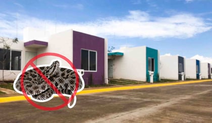 ¿Cuándo aparecen más las víboras de cascabel en México y en qué lugares se esconden?