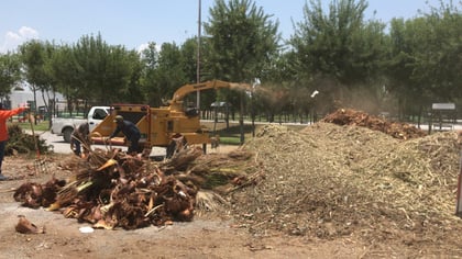 Se apuesta por el reciclaje de residuos vegetales con nuevo centro de triturado