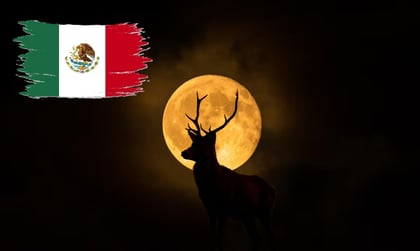 Luna de Ciervo en México (ESPECIAL)