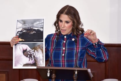 Celebran reapertura de frontera para exportar ganado mexicano a Estados Unidos