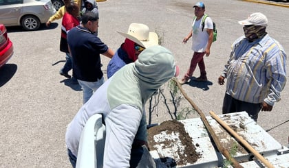 Programa “Mega Reforestación 2025, Coahuila Verde' llega a San Pedro