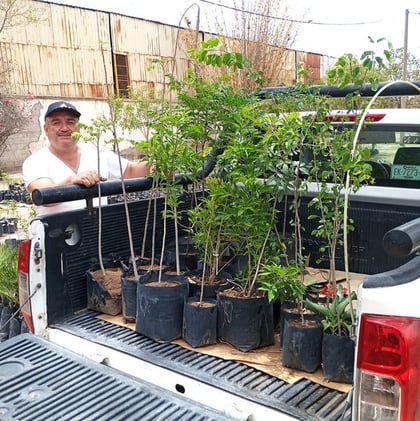 ¿Quieres un Gómez más verde? Entregan árboles nativos en el Parque La Esperanza